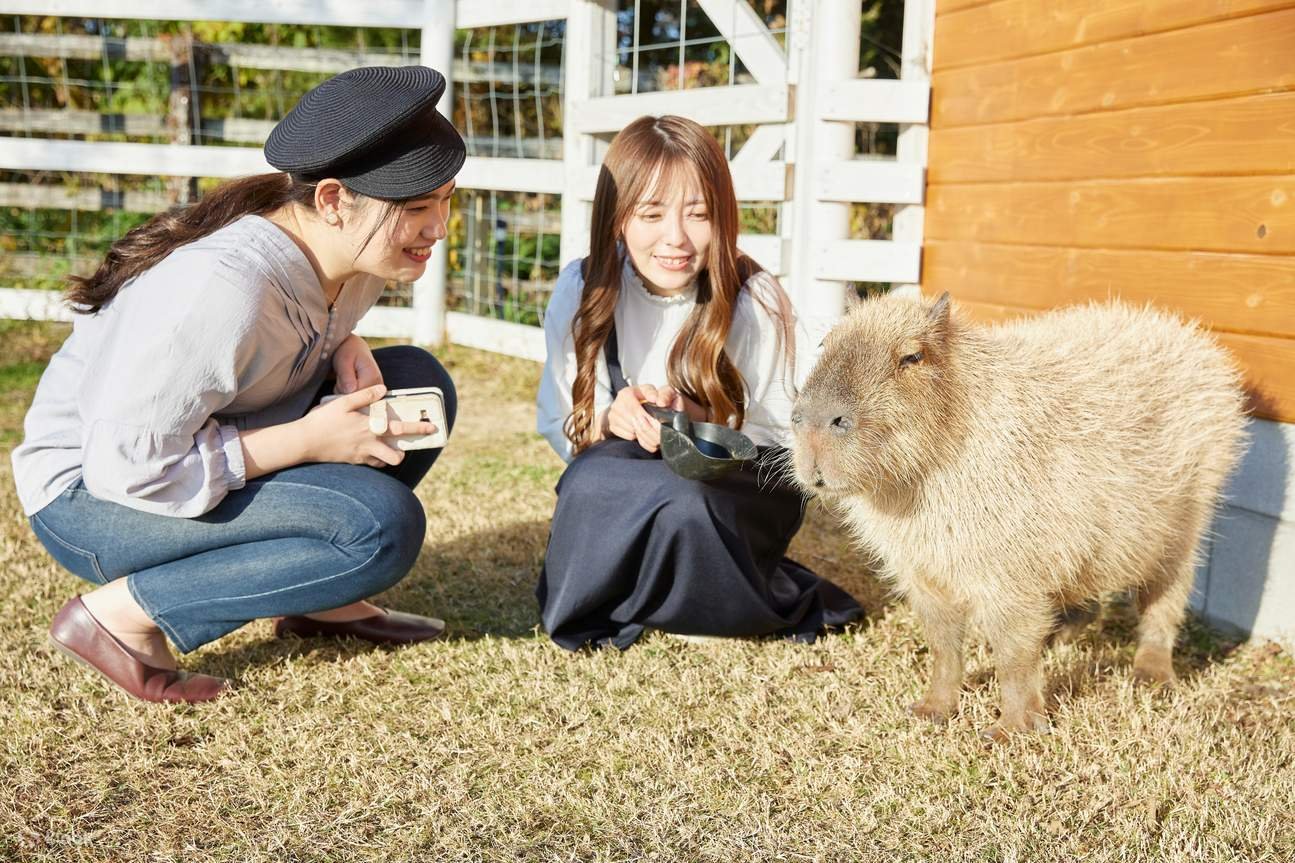 🌳 오카야마 삼림 공원 독일의 숲(오카야마 포레스토파쿠 도이츠노모리)